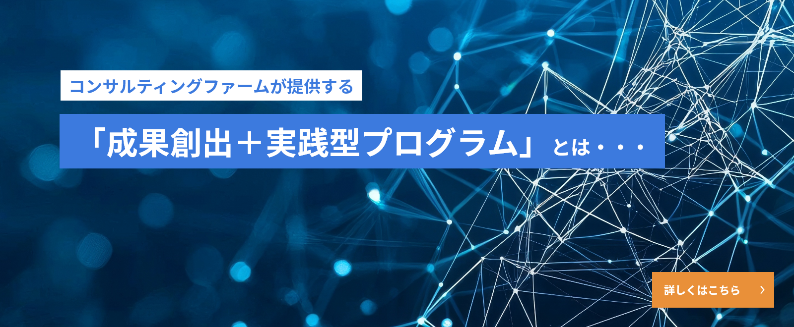 コンサルティングファームが提供する 「成果創出＋実践型プログラム」とは・・・